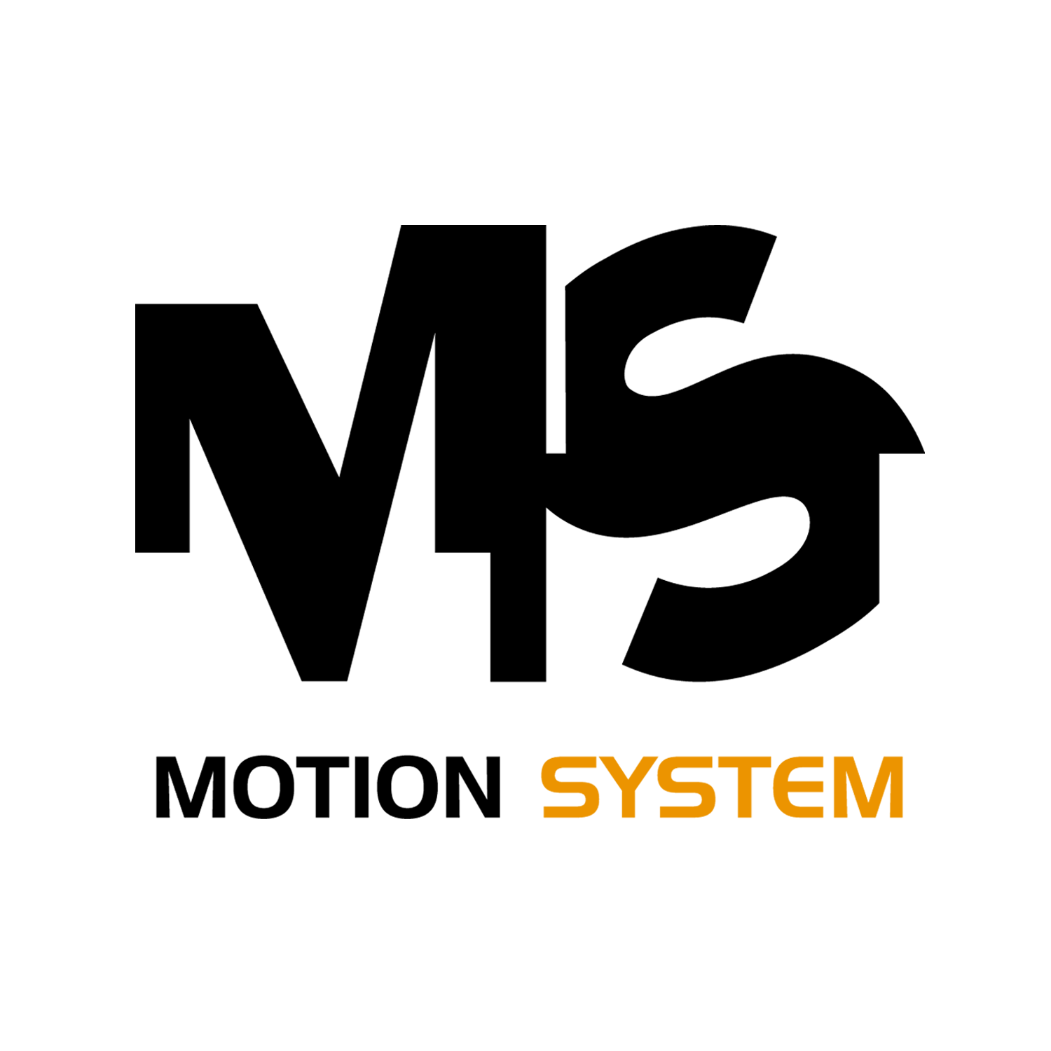 MOTION SYSTEM